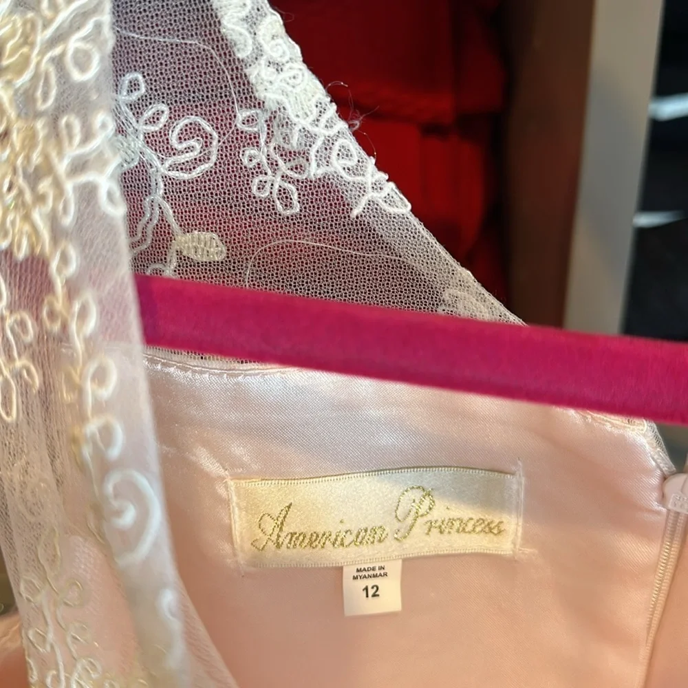 American Princess pink sleeveless with sequins and embroidery dress size 12 NWT